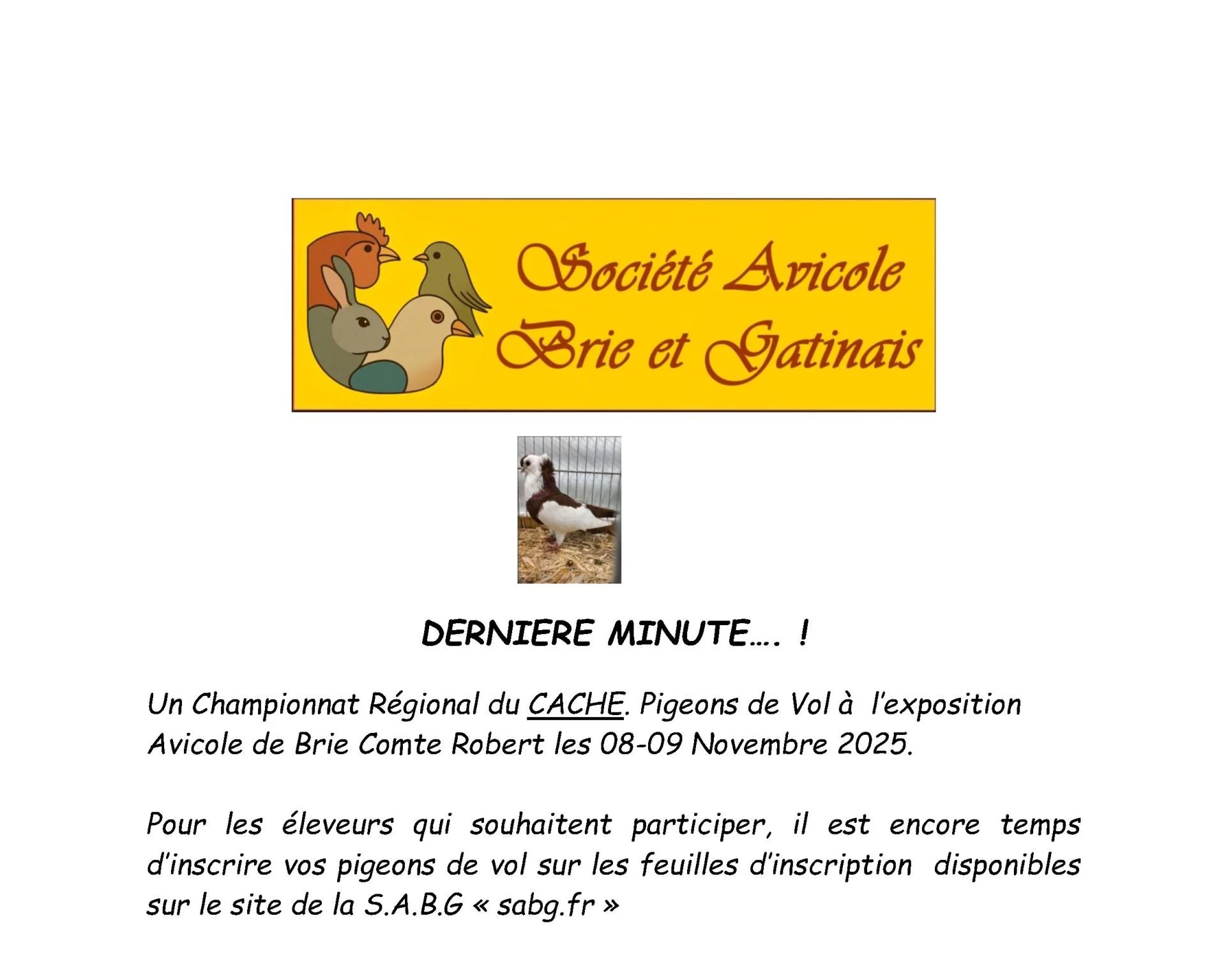 Championnat du cache 1